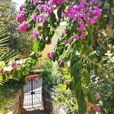 Secret Garden With Private Parking Space Apartman