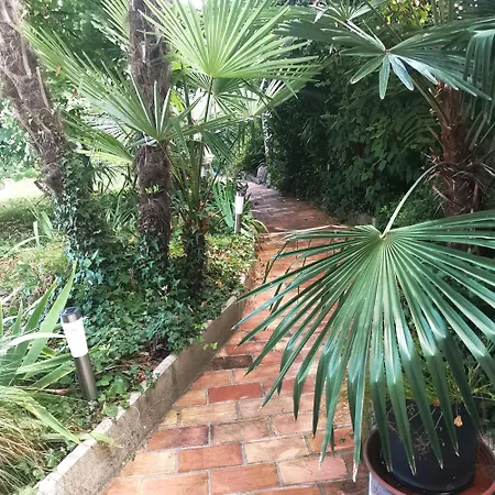 Secret Garden With Private Parking Space *