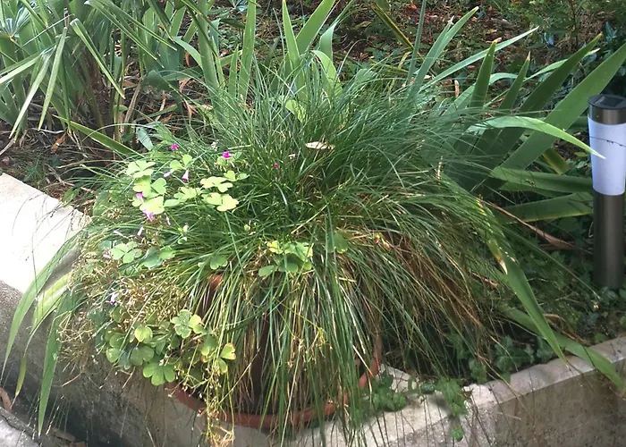 Secret Garden With Private Parking Space 奥帕提亚