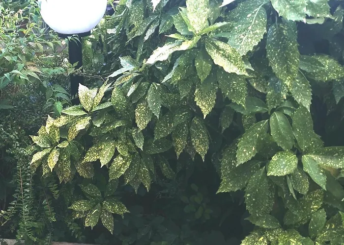 Secret Garden With Private Parking Space