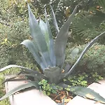 Secret Garden With Private Parking Space * Опатия