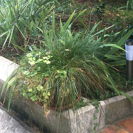 Secret Garden With Private Parking Space אופטיה
