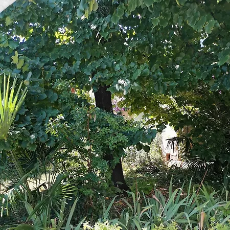 Secret Garden With Private Parking Space אופטיה