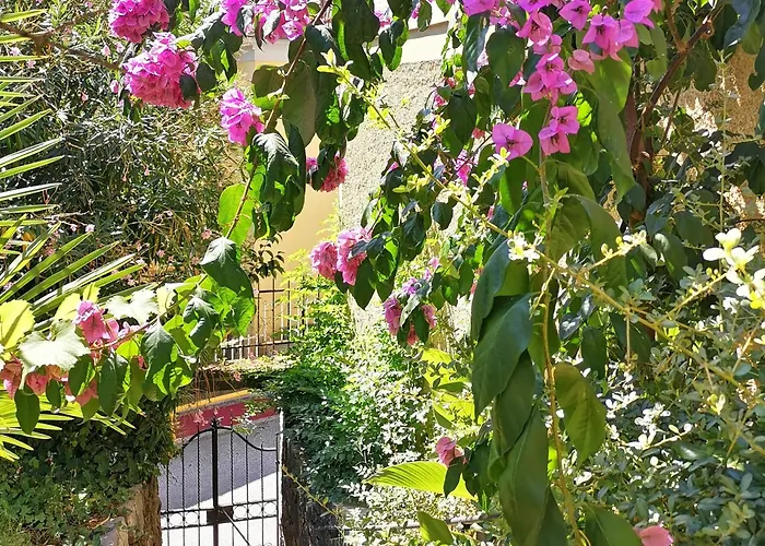 Secret Garden With Private Parking Space Апартаменты