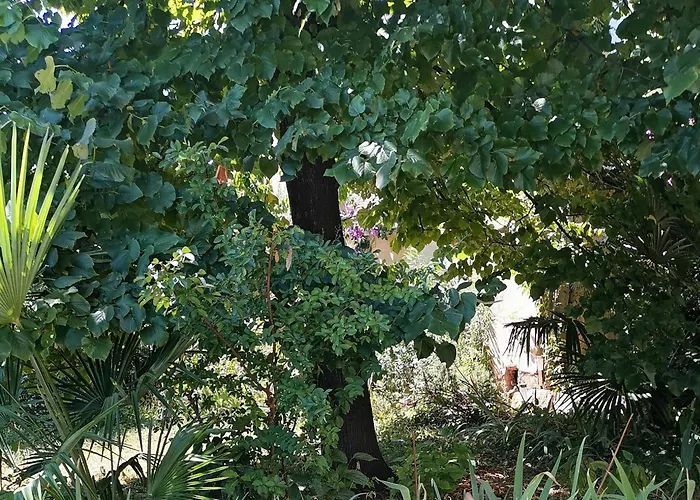 Secret Garden With Private Parking Space Opatija